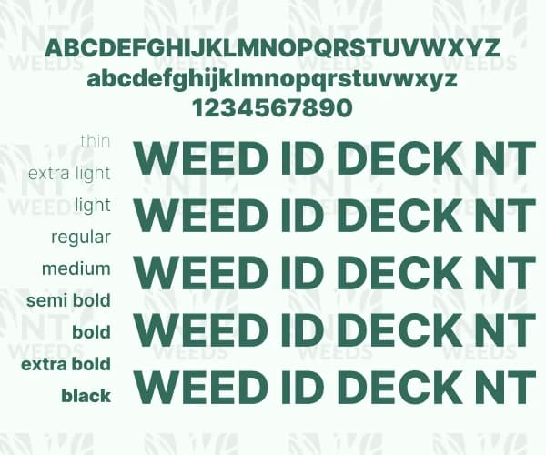 Type face composition