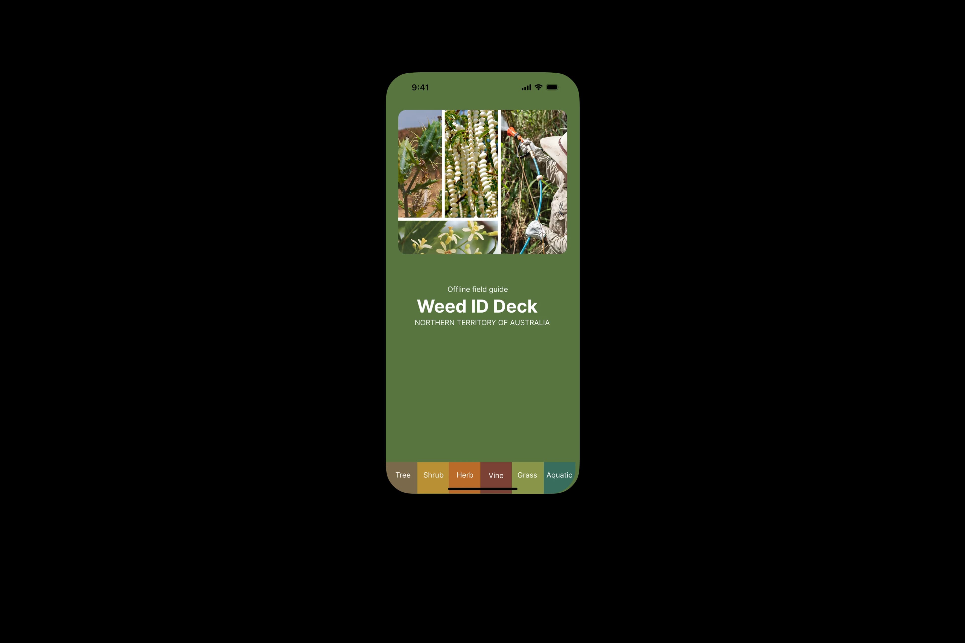 Weed ID Deck NT app home screen with weed categories for tree, shrub, herb, vine, grass and aquatic